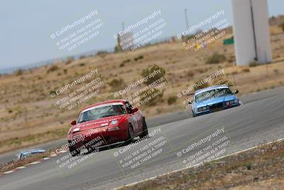 media/May-03-2025-Lucky Dog Racing (Sat) [[206de64b9d]]/Turn 6 (150pm-230pm)/